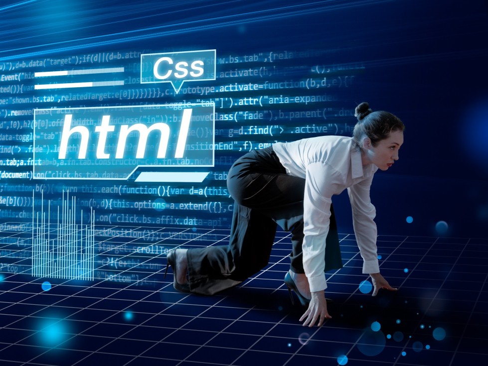 Dynamic Web Applications in Bangalore